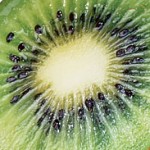 Group logo of KIWI 11/12